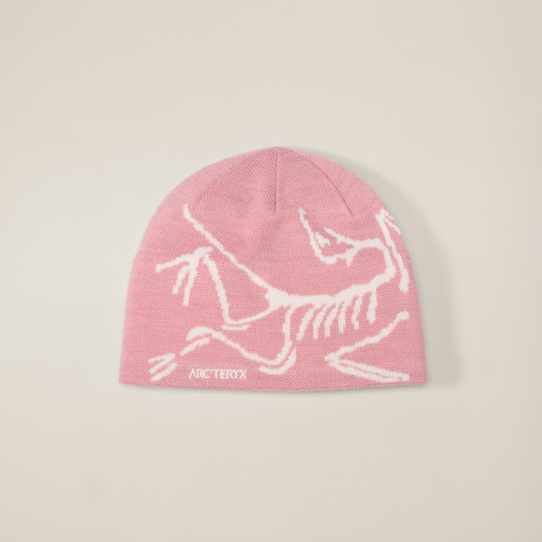 ARC Beanie